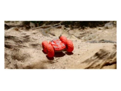 Radio Control Coche Aquabound+ Ninco NH93133 Teledirigido -Mejor Juguetería Tienda 1911144251g08